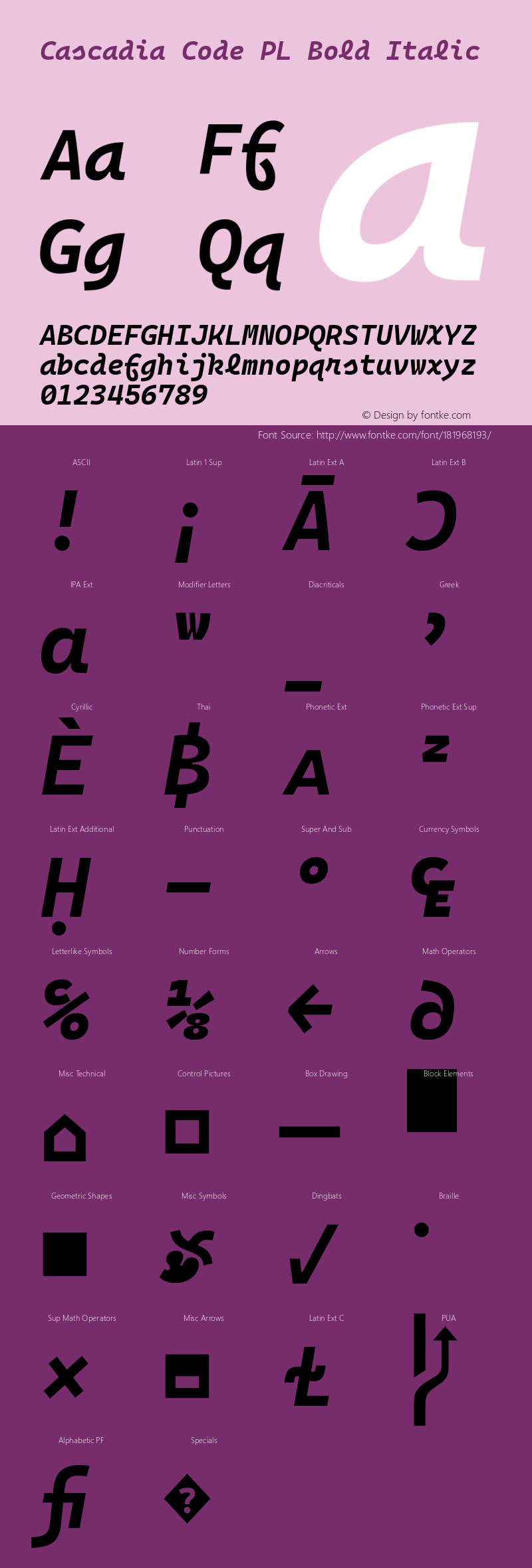 Cascadia Code PL Bold Italic Version 2108.026图片样张