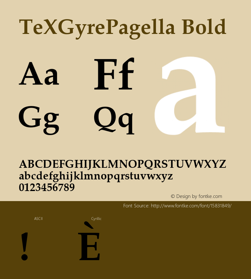 TeXGyrePagella Bold Version 1.103;PS 1.103;hotconv 1.0.49;makeotf.lib2.0.14853; ttfautohint (v1.4.1)图片样张