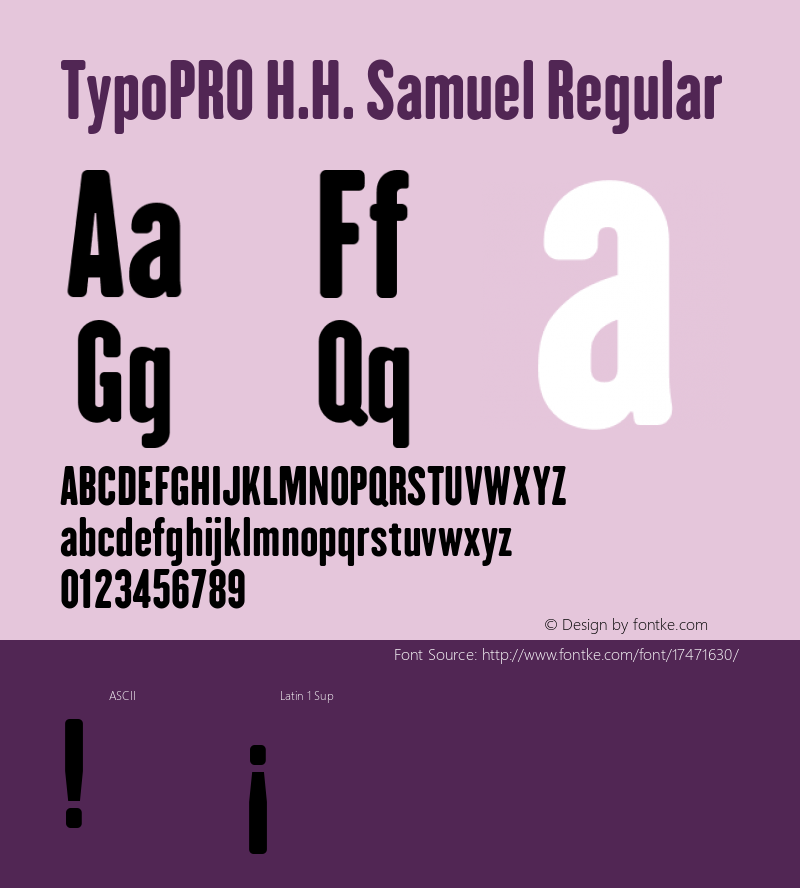 TypoPRO H.H. Samuel Regular Version 1.009图片样张