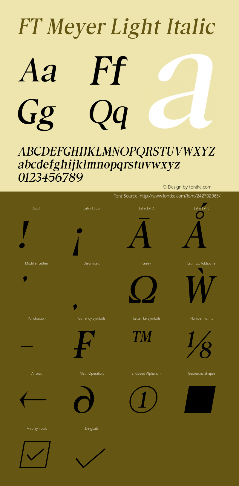 FT Meyer Light Italic Version 1.000 | web-otf图片样张