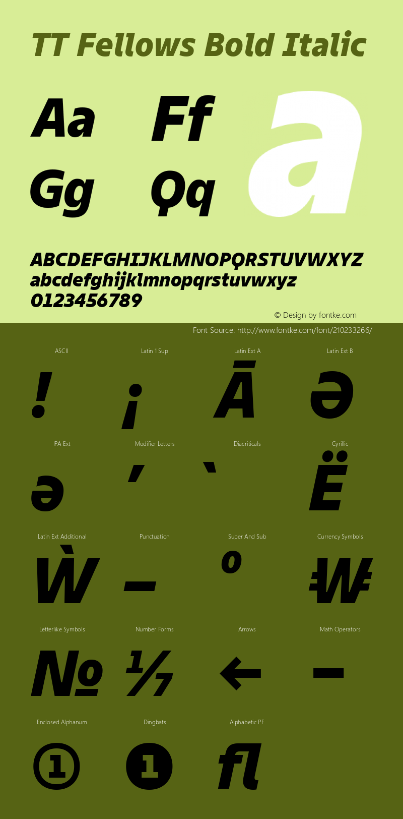 TT Fellows Bold Italic Version 1.000.13122021图片样张