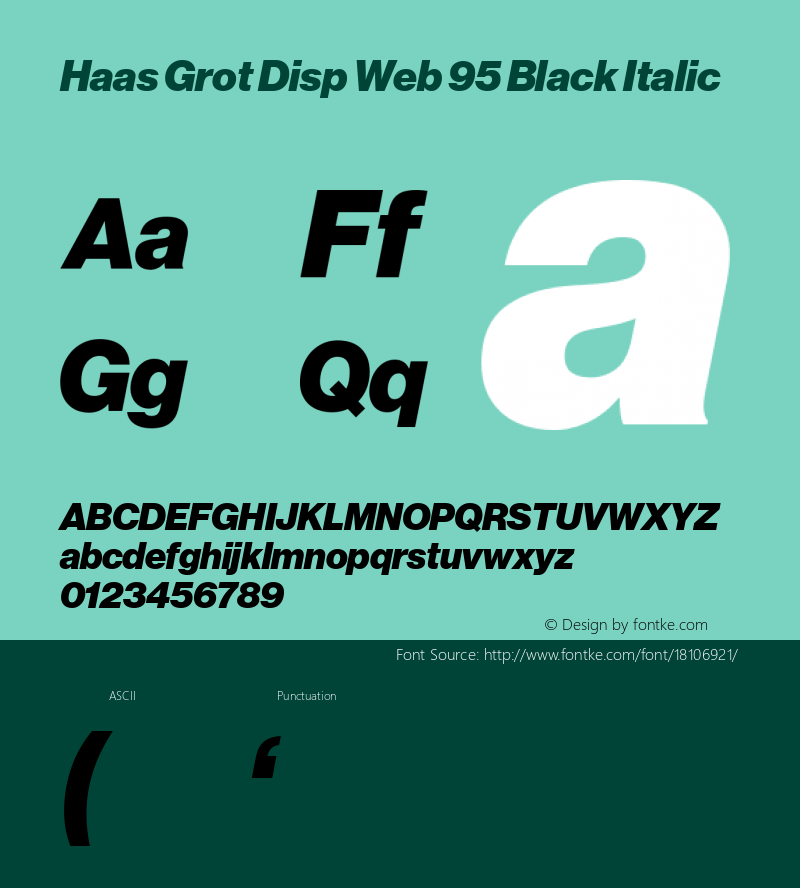 Haas Grot Disp Web 95 Black Italic Version 001.001 2010图片样张