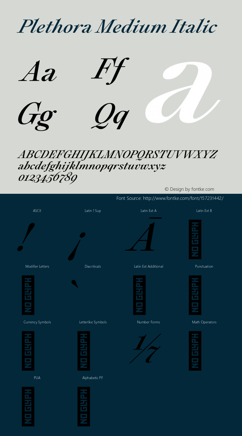 Plethora Medium Italic Version 1.000图片样张