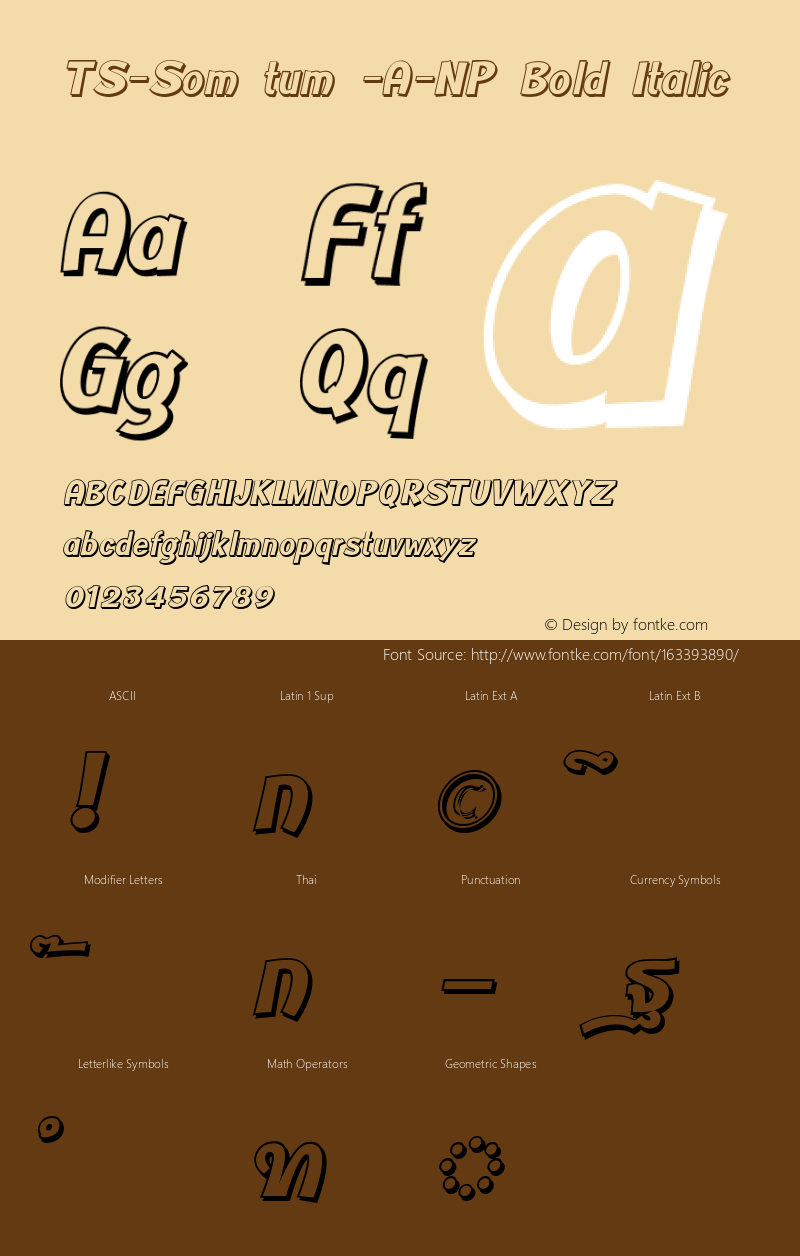 TS-Som tum -A-NP Bold Italic Version 1.002 2013图片样张