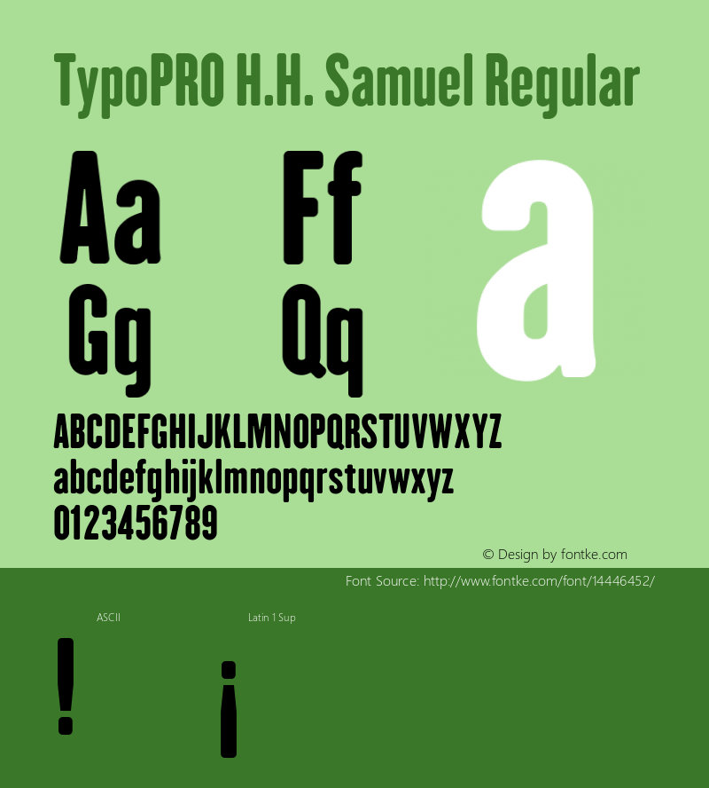 TypoPRO H.H. Samuel Regular Version 1.009图片样张