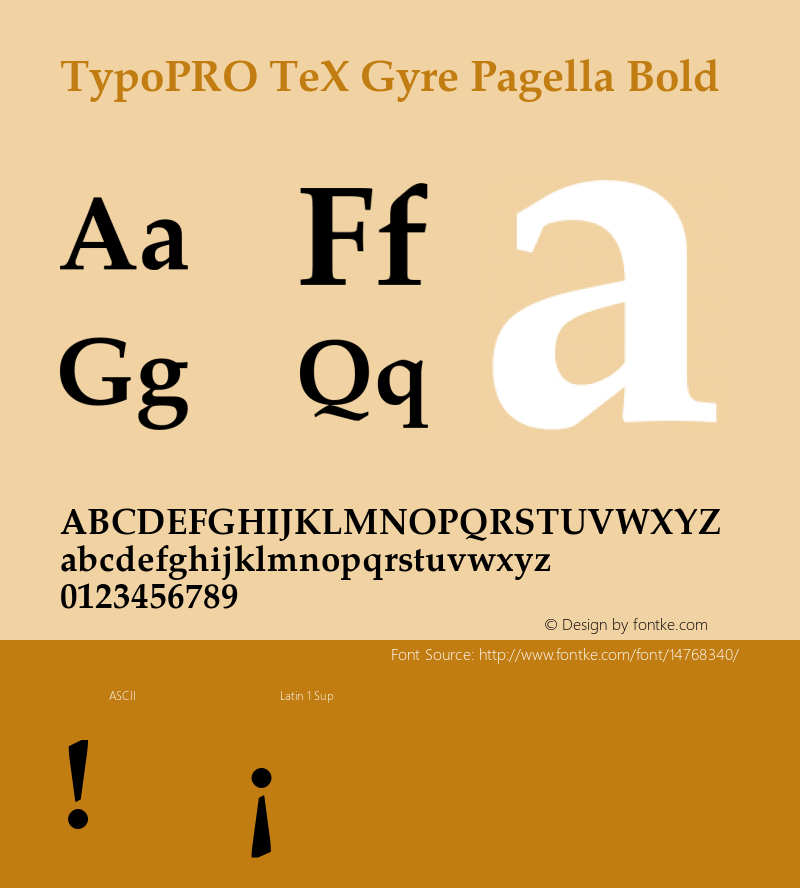 TypoPRO TeX Gyre Pagella Bold Version 2.004;PS 2.004;hotconv 1.0.49;makeotf.lib2.0.14853图片样张