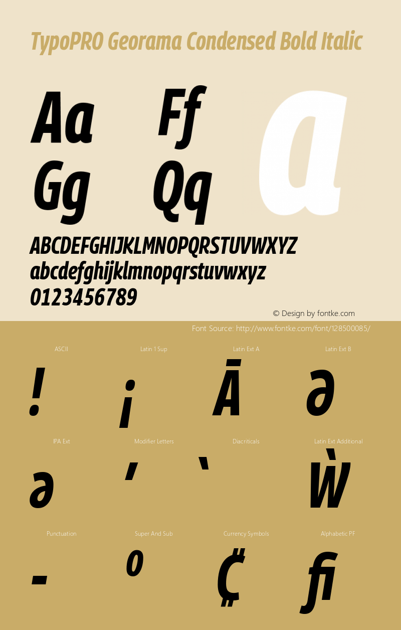 TypoPRO Georama Condensed Bold Italic Version 1.001图片样张