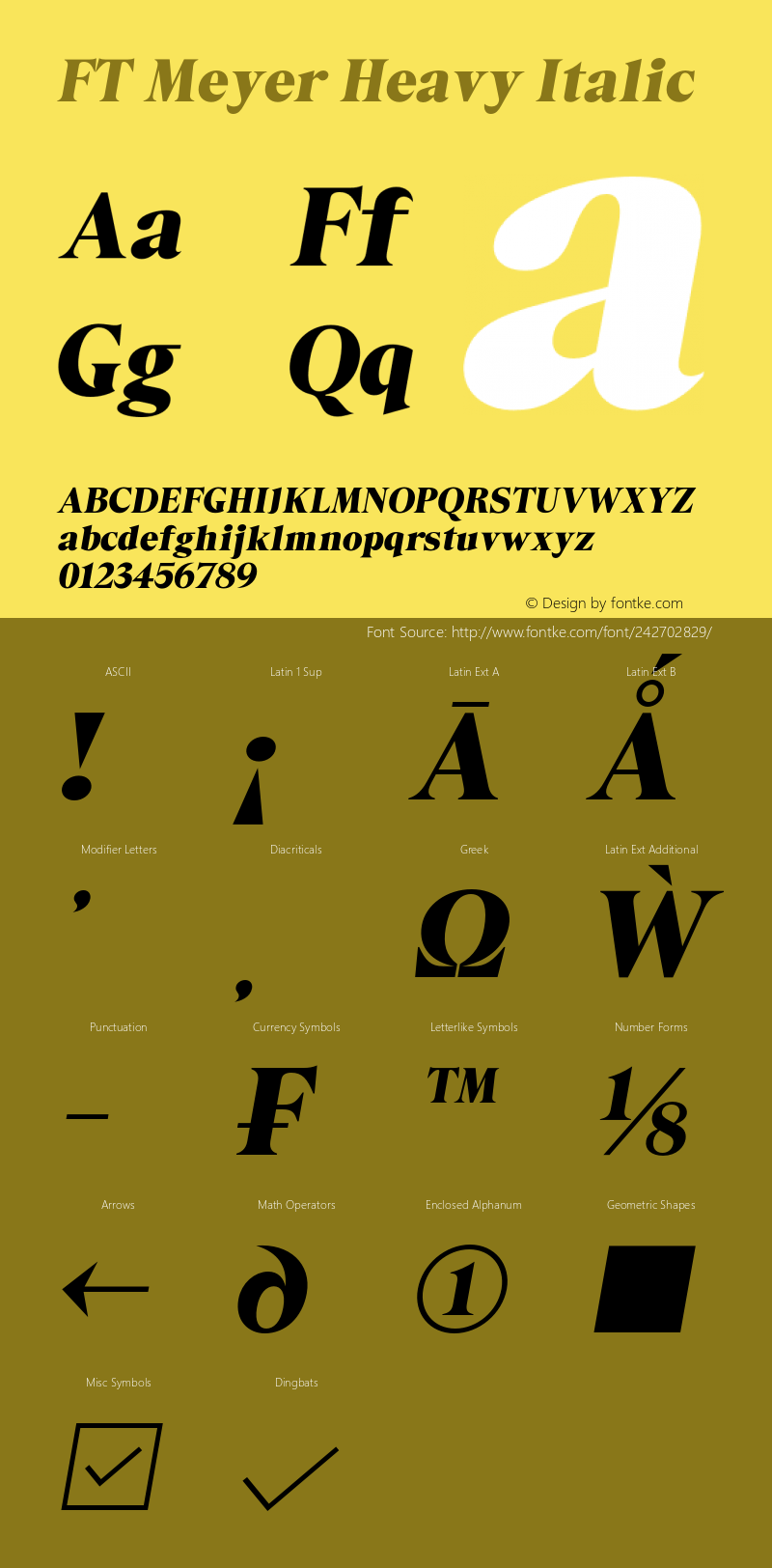 FT Meyer Heavy Italic Version 1.000 | web-otf图片样张