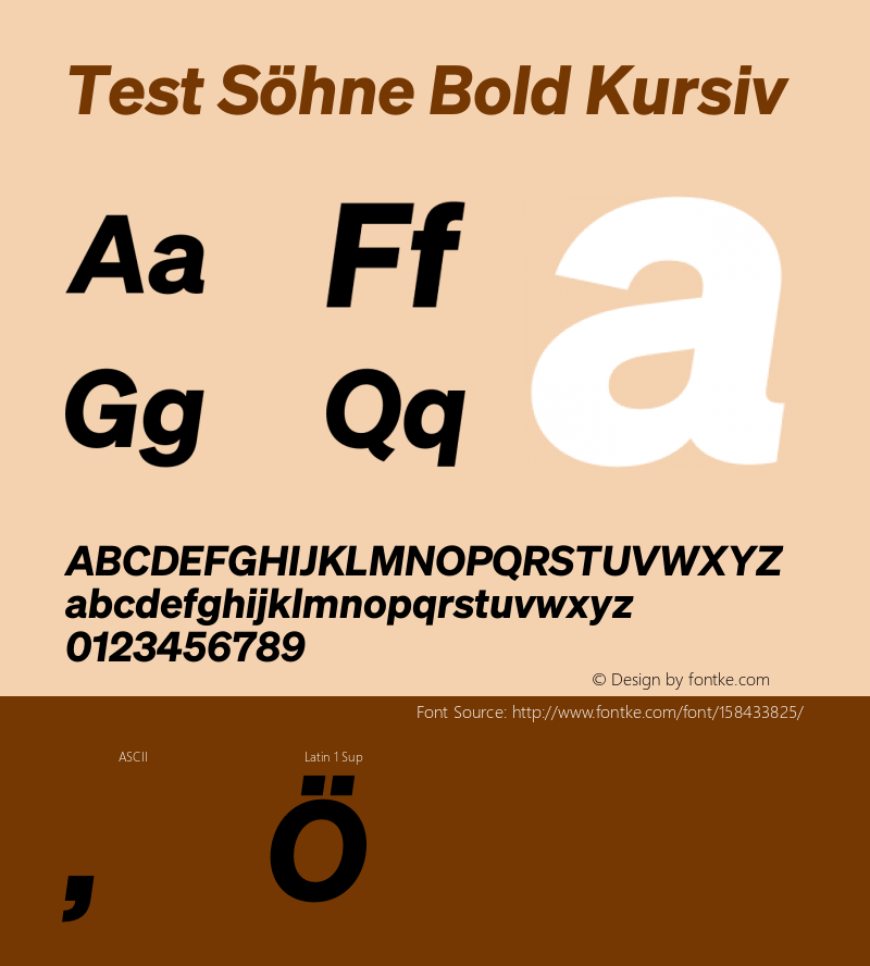 Test Söhne Bold Kursiv Version 1.108;hotconv 1.0.116;makeotfexe 2.5.65601图片样张