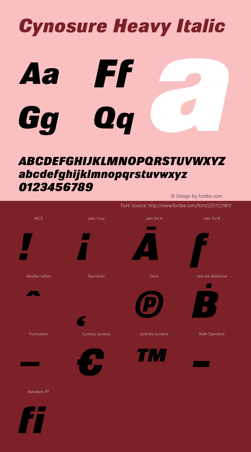 Cynosure Heavy Italic Version 5.000;FEAKit 1.0图片样张