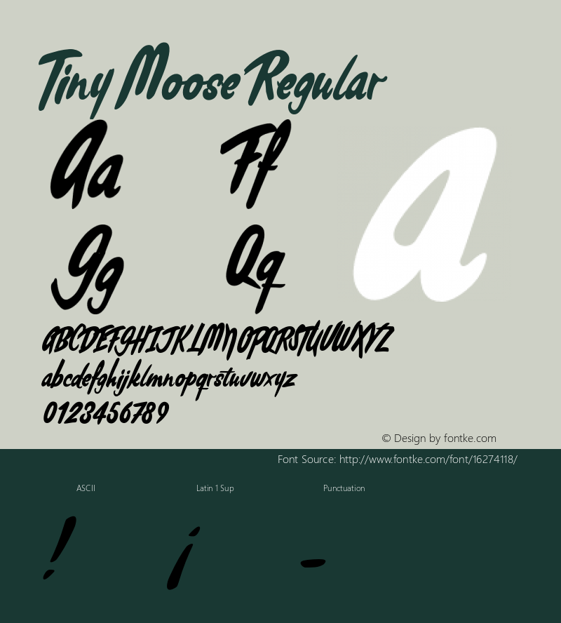 Tiny Moose Regular Version 1.001;PS 001.001;hotconv 1.0.70;makeotf.lib2.5.58329图片样张