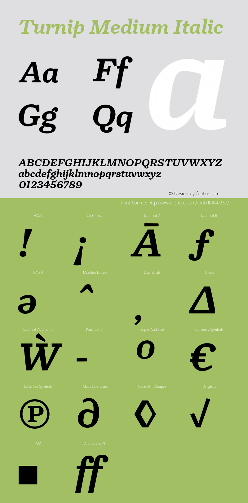 Turnip Medium Italic Version 1.0图片样张