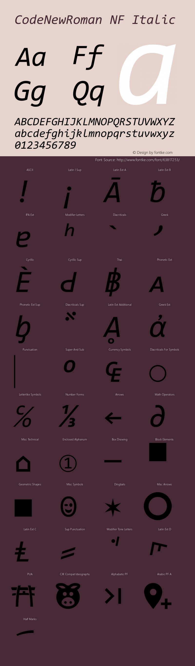 Code New Roman Italic Nerd Font Complete Windows Compatible Version 1.86 November 29, 2014图片样张