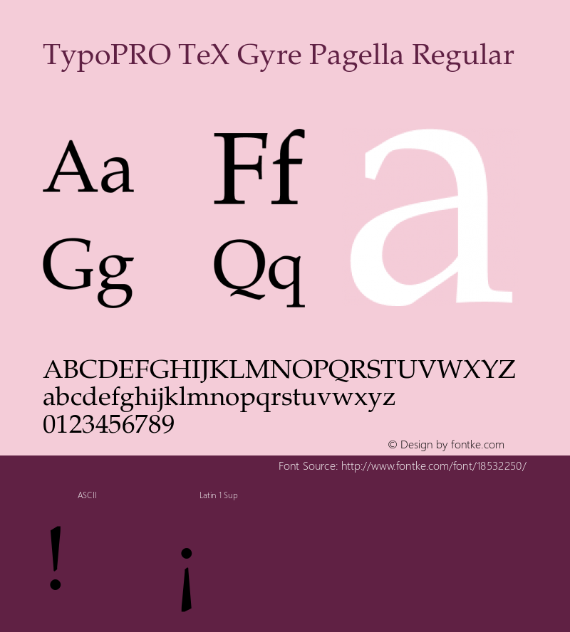 TypoPRO TeX Gyre Pagella Regular Version 2.004;PS 2.004;hotconv 1.0.49;makeotf.lib2.0.14853图片样张