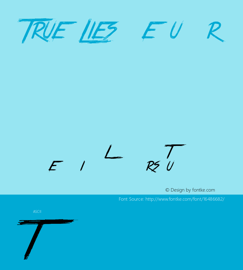 True Lies Regular Version 1.00 January 19, 2013, initial release图片样张