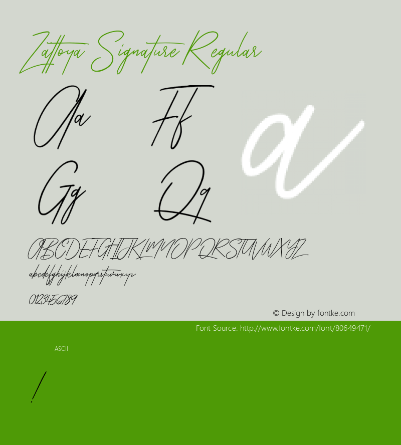 Zattoya Signature 图片样张